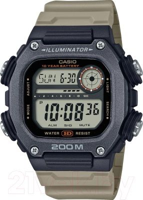 CASIO