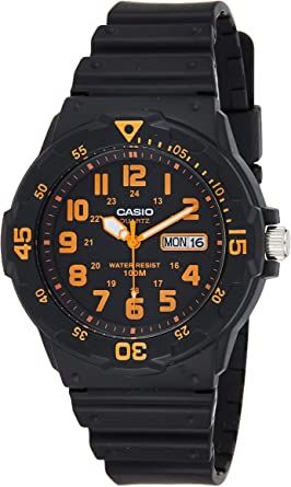 CASIO