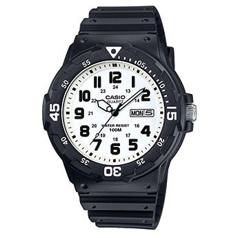 CASIO