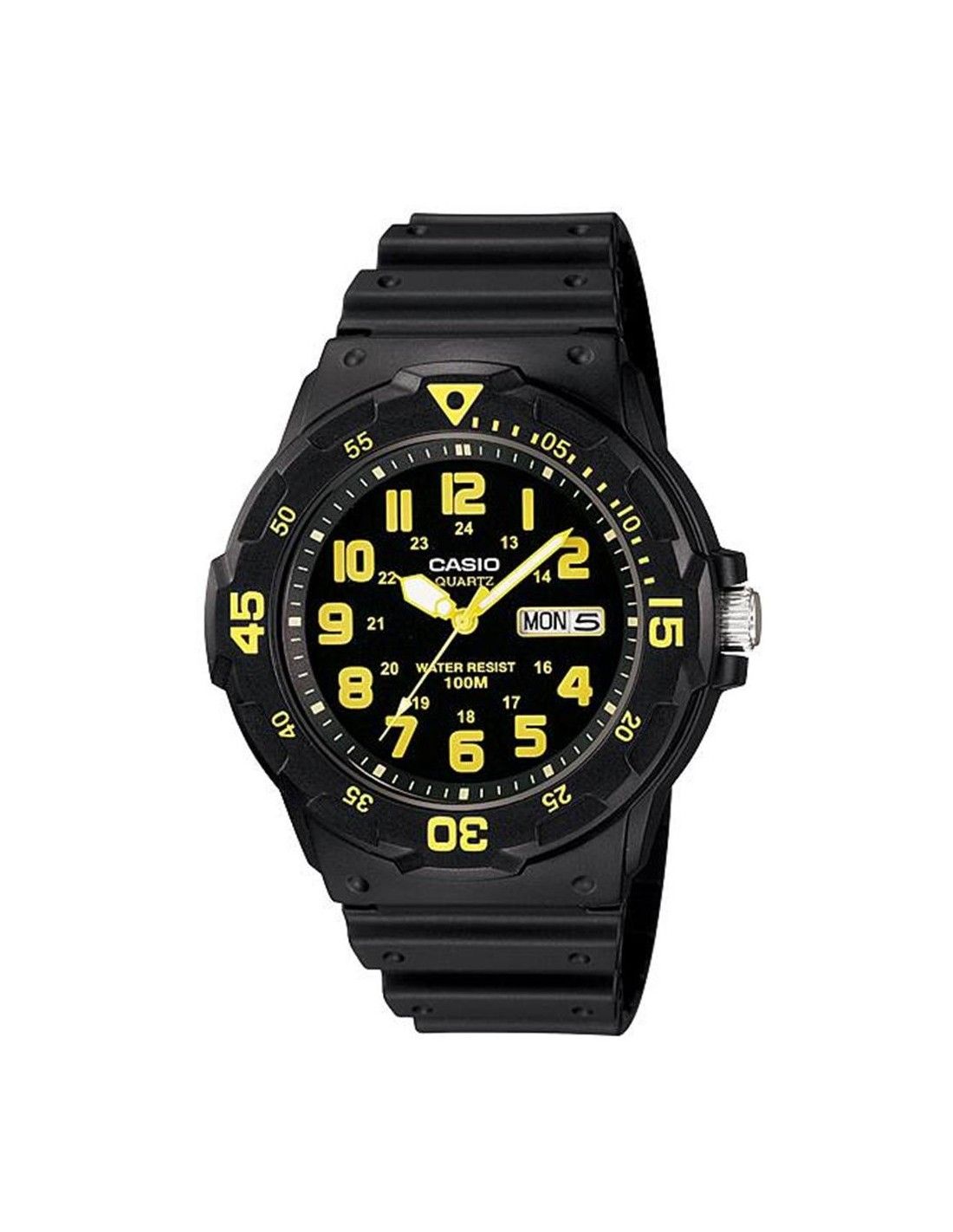 CASIO
