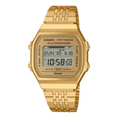 CASIO