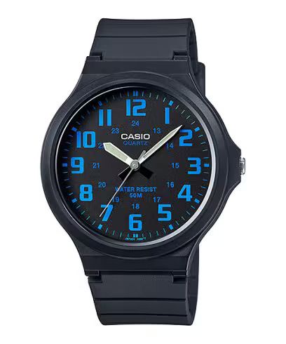 CASIO