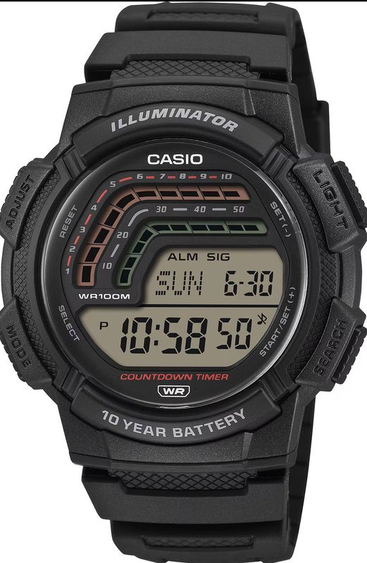 CASIO