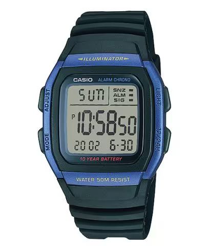 CASIO