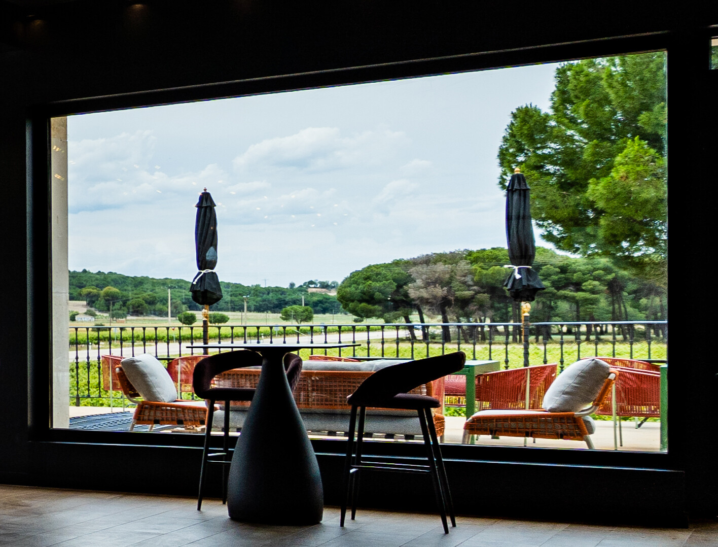 CATA PUESTA DE SOL (Precio por persona)