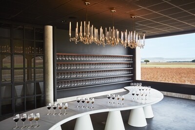 ​INICIACIÓN A LA CATA (precio por persona) 00006