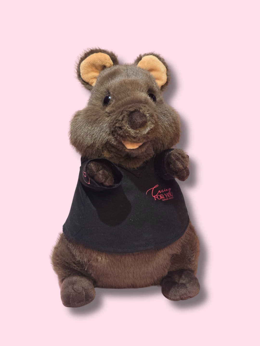 QUINCY THE QUOKKA