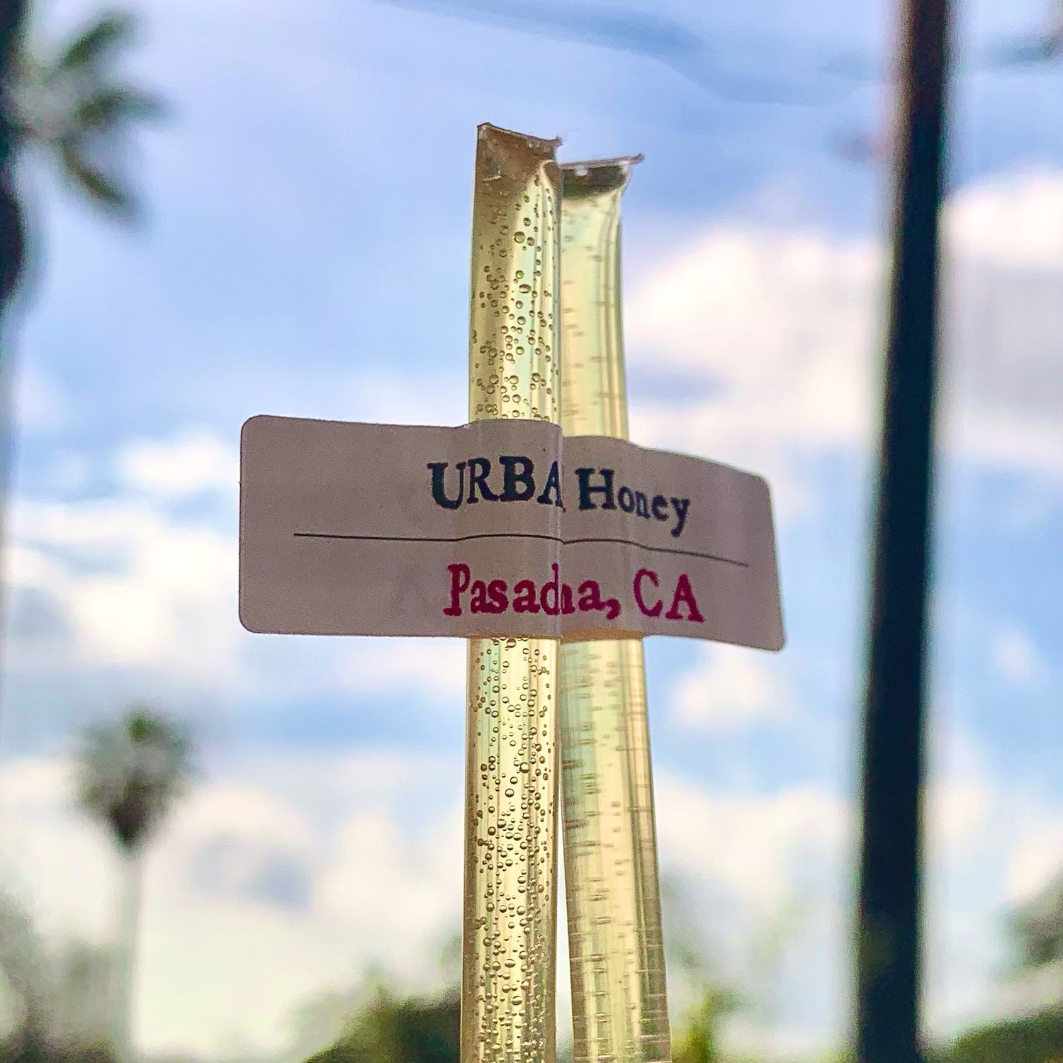 30 Honey Sticks (Pasadena Urban)