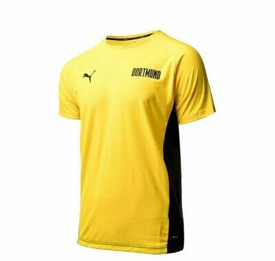 MAGLIA PUMA BVB BORUSSIA DORTMUND EVOSTRIPE 2020-2021