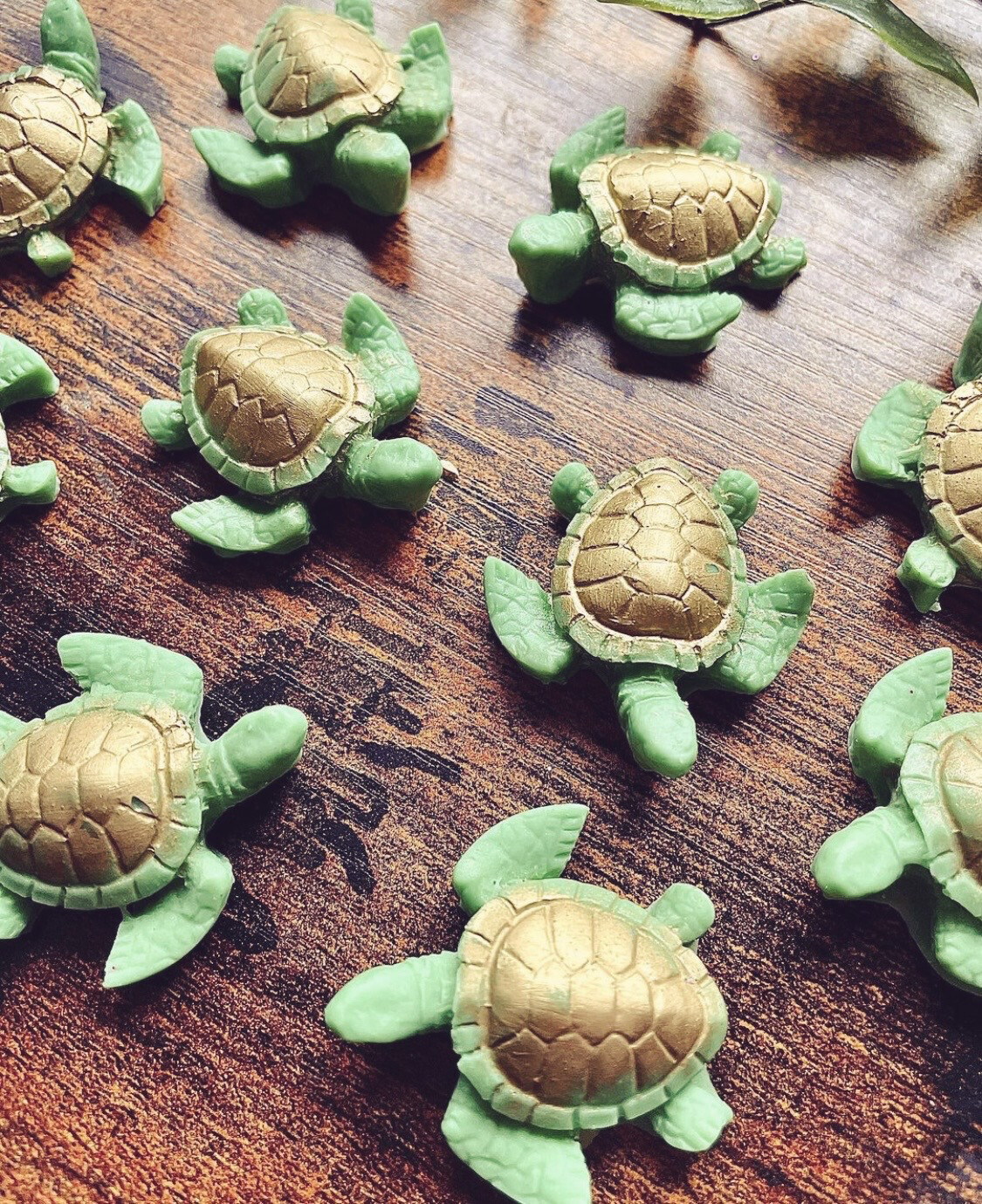 Tiny Turtle Wax Melts 