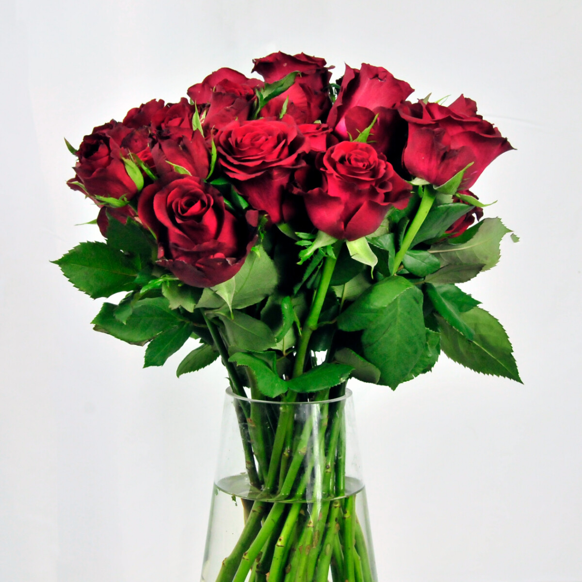Stemmed Roses in a Vase Stemmed Roses in a Vase