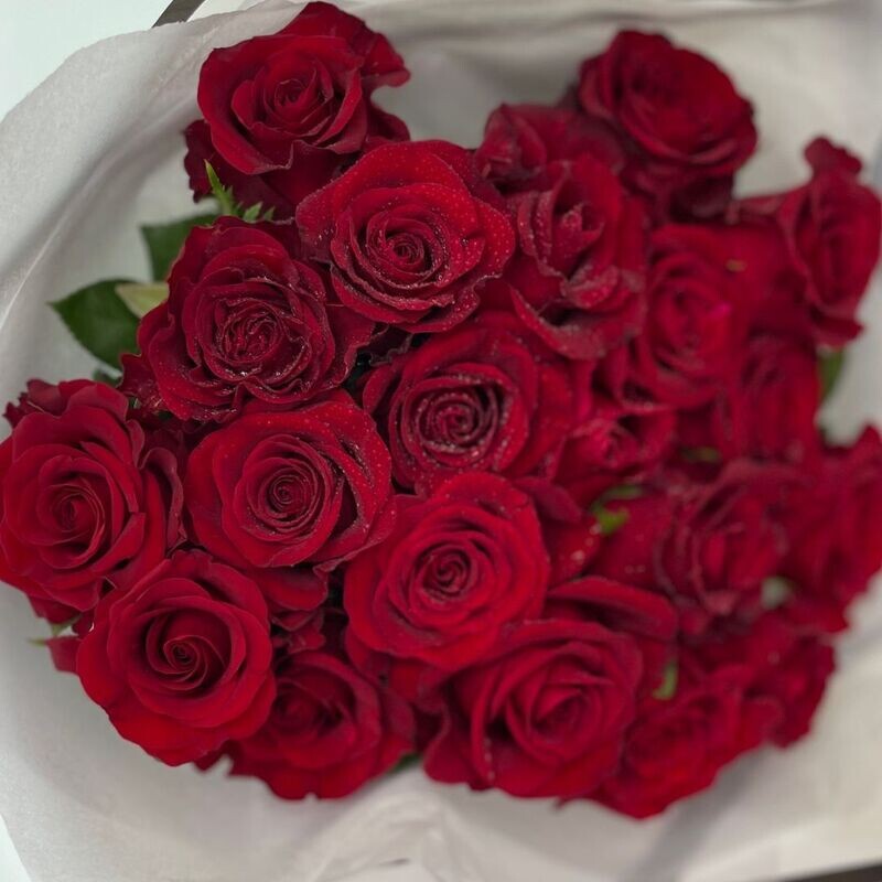 20 Red Roses