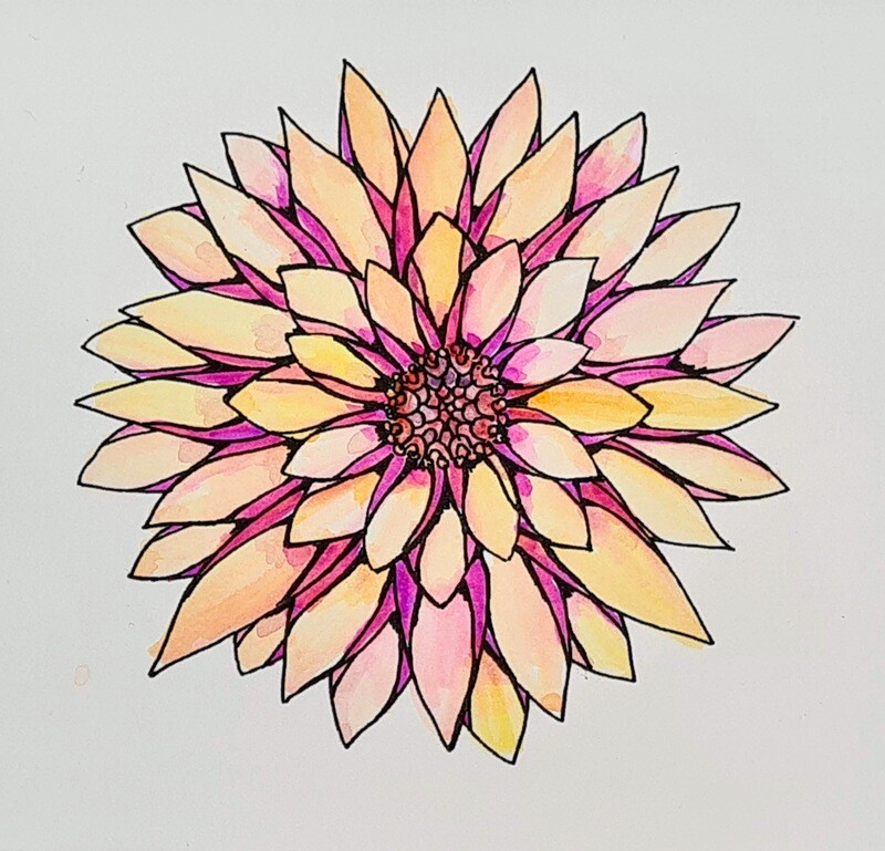 Dahlia