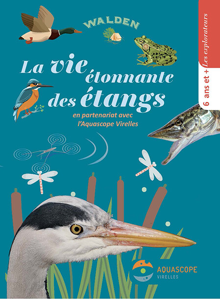 La vie étonnante des étangs Belgique