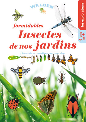 Formidables insectes de nos jardins Belgique