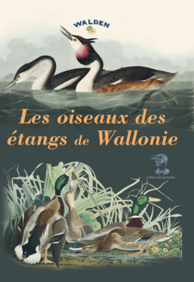 Les oiseaux des étangs de Wallonie