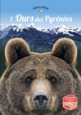 L’ours des Pyrénées