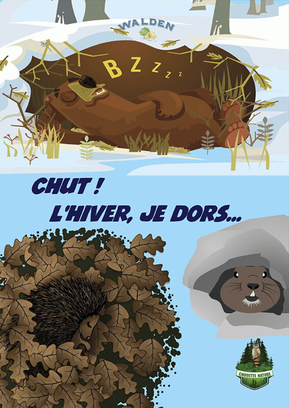Chut l’hiver, je dors