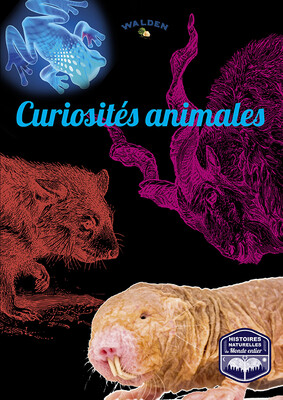 Curiosités animales