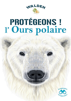 Protégeons l’ours polaire