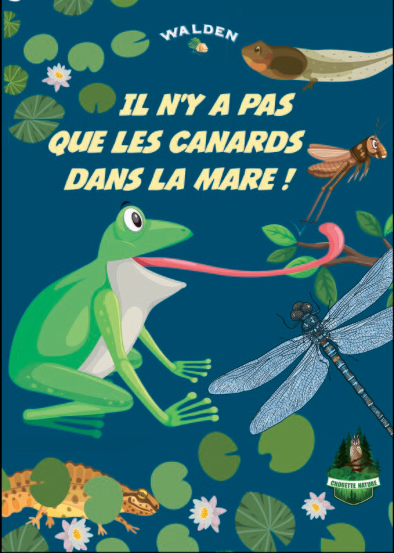 Il n'y a pas que les canards dans la mare