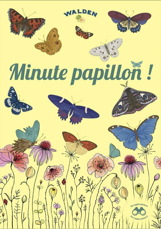 Minute papillon