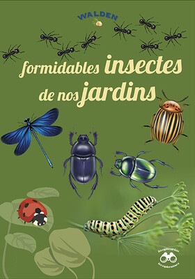 Formidables insectes de nos jardins France