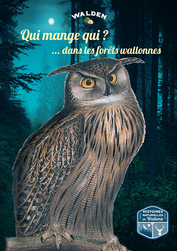 Qui mange qui dans les forêts wallonnes ?