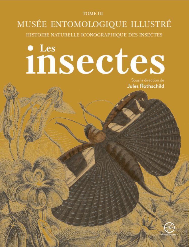 Musée entomologique illustré : les insectes. Jules Rotschild (dir.)