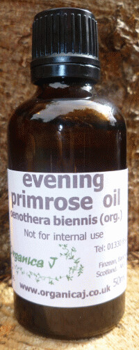 Evening Primrose Oil (oenothera biennis) Evening Primrose Oil (oenothera biennis)