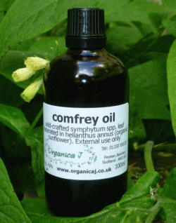 Comfrey Oil (Macerate) Comfrey Oil (Macerate)