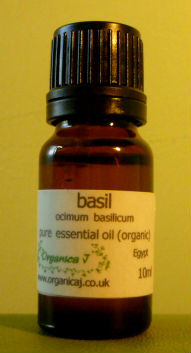 Basil (ocimum basilicum) Basil (ocimum basilicum)