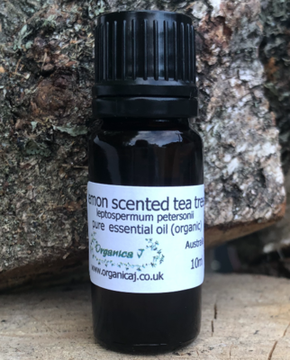 Lemon Scented Tea Tree (leptospermum petersonii) Lemon Scented Tea Tree (leptospermum petersonii)