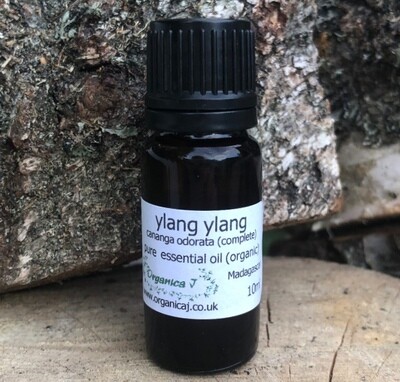 Ylang Ylang (cananga odorata) complete