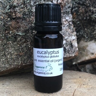 Eucalyptus - blue gum (eucalyptus globulus) 10ml