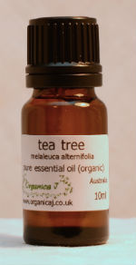 Tea Tree (melaleuca alternifolia) Tea Tree (melaleuca alternifolia)