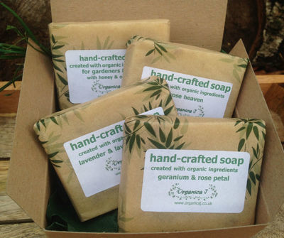 Organic Soap Gift Box - Two