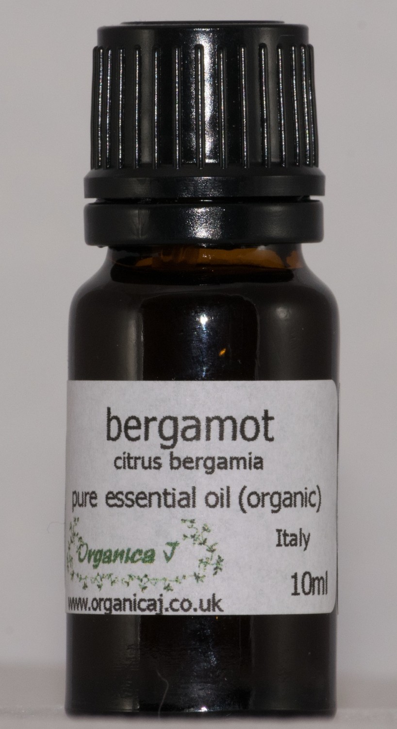 Bergamot (citrus bergamia) Bergamot (citrus bergamia)