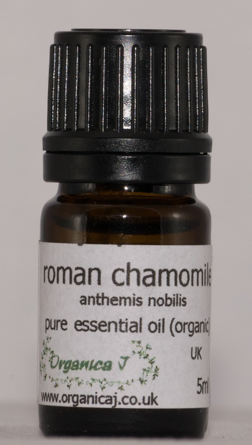 Chamomile, Roman (anthemis nobilis) Chamomile, Roman (anthemis nobilis)