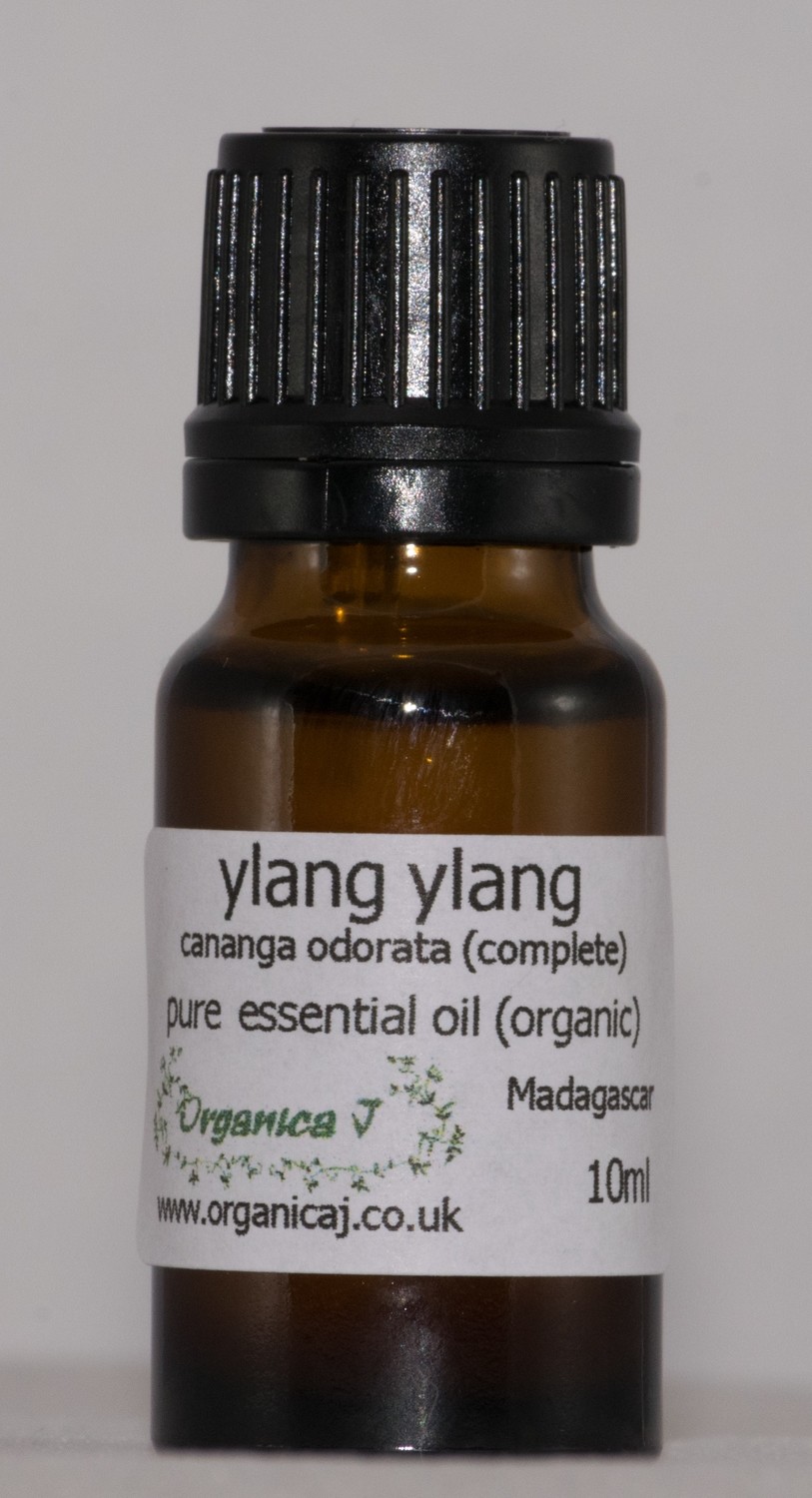 Ylang Ylang (cananga odorata) complete Ylang Ylang (cananga odorata) complete