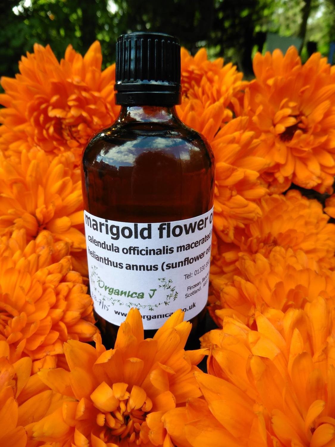Calendula Macerate Calendula Macerate