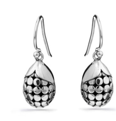 Terrestrial Silver Drop Earrings
