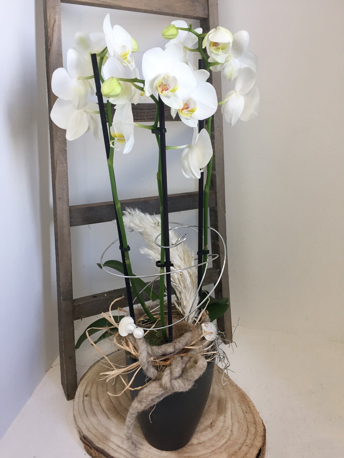 Orchideen-Geschenk "Anna" -handgefertigt-