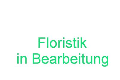 Floristik – Schnittblumensträuße, gefüllte Gläser