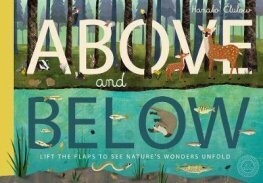 Above and Below (Lift the Flap, paperback)