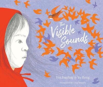 Visible Sounds by Yin Jianling and Yu Rong