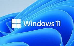 MICROSOFT WINDOWS 11 PROFESSIONAL WITH DISC 64 BIT OEM