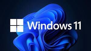 Microsoft Windows 11 64 bit OEM WITH DISC
