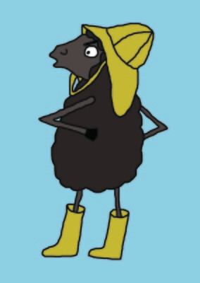 Angry Duck Character Postcard Northern Black Sheep