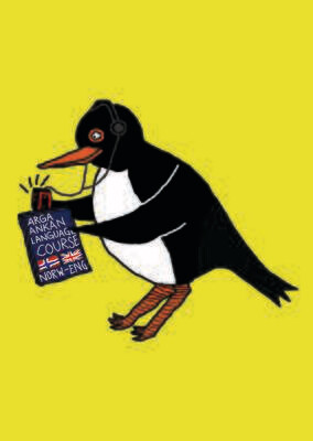 Angry Duck Character Postcard Lardy Oystercatcher